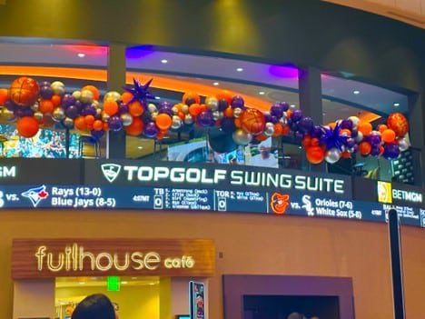 Balloon Arches and garlands