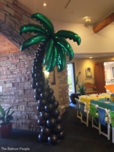 elegant Balloon palm tree
